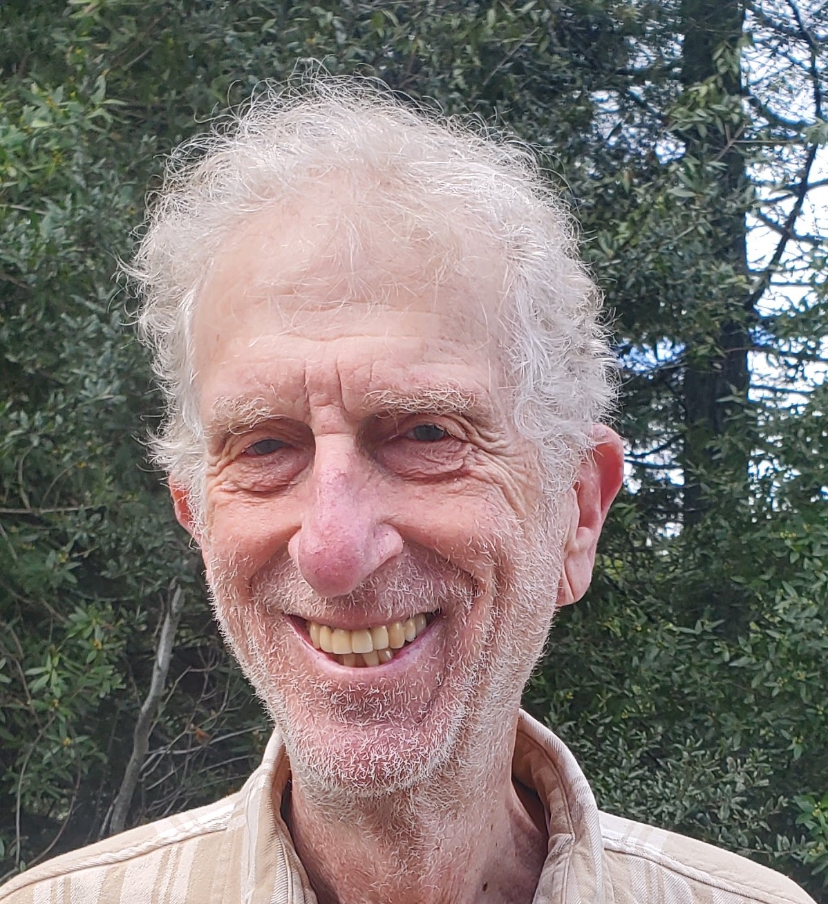 Portrait of Larry, Board Secretary